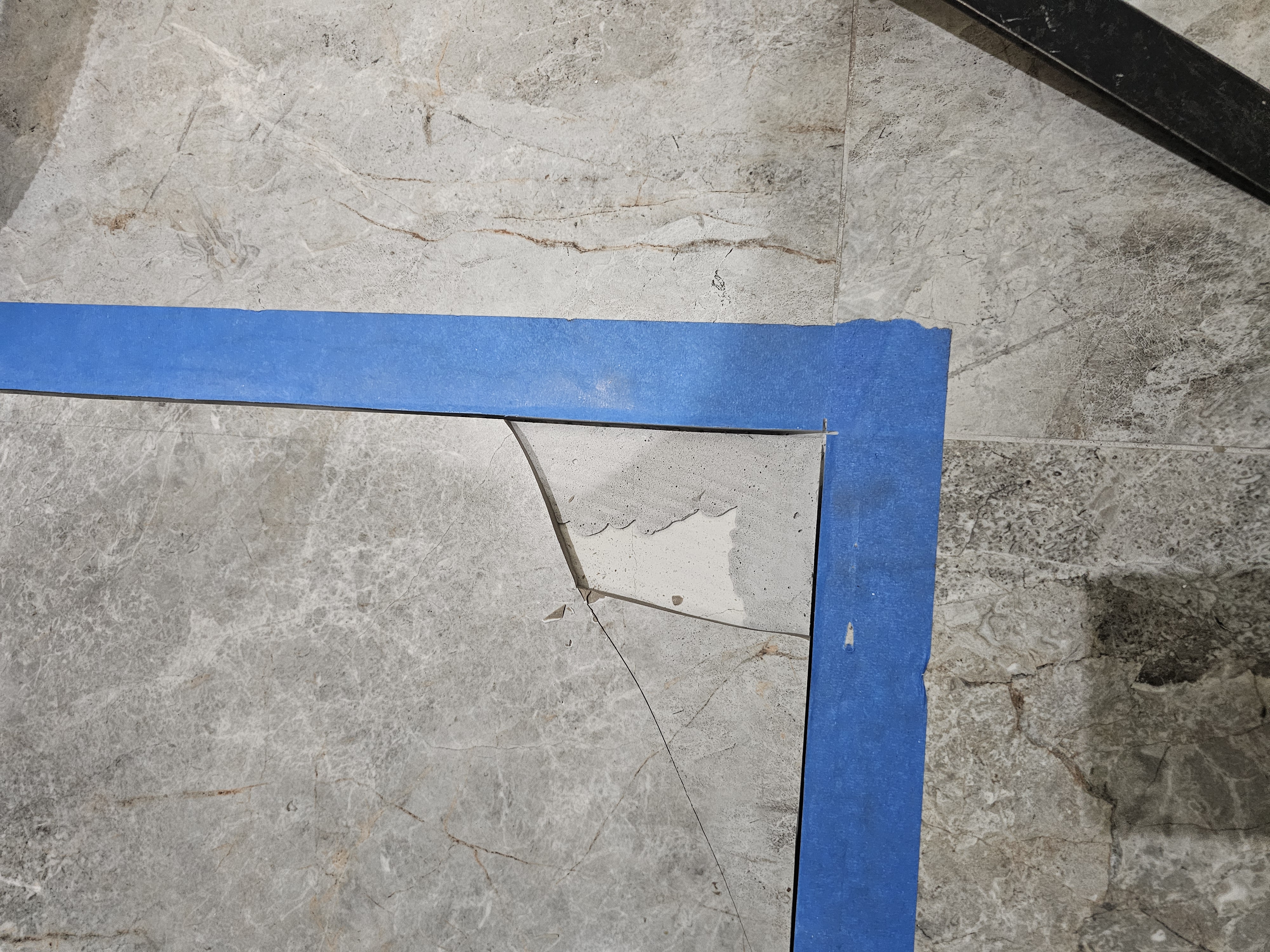Proyecto
